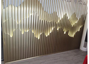  ���P����L(f��ng)-MY025  